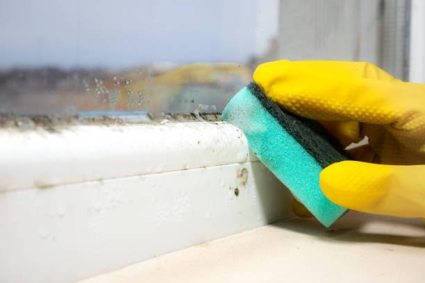Best Office Mold Removal Services  in South Glens Falls, NY