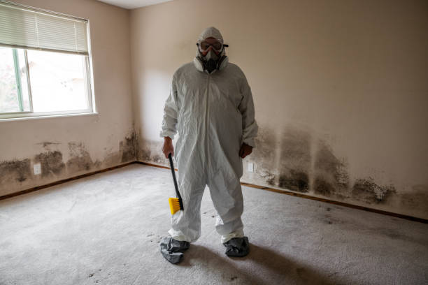 Mold Removal Process in South Glens Falls, NY